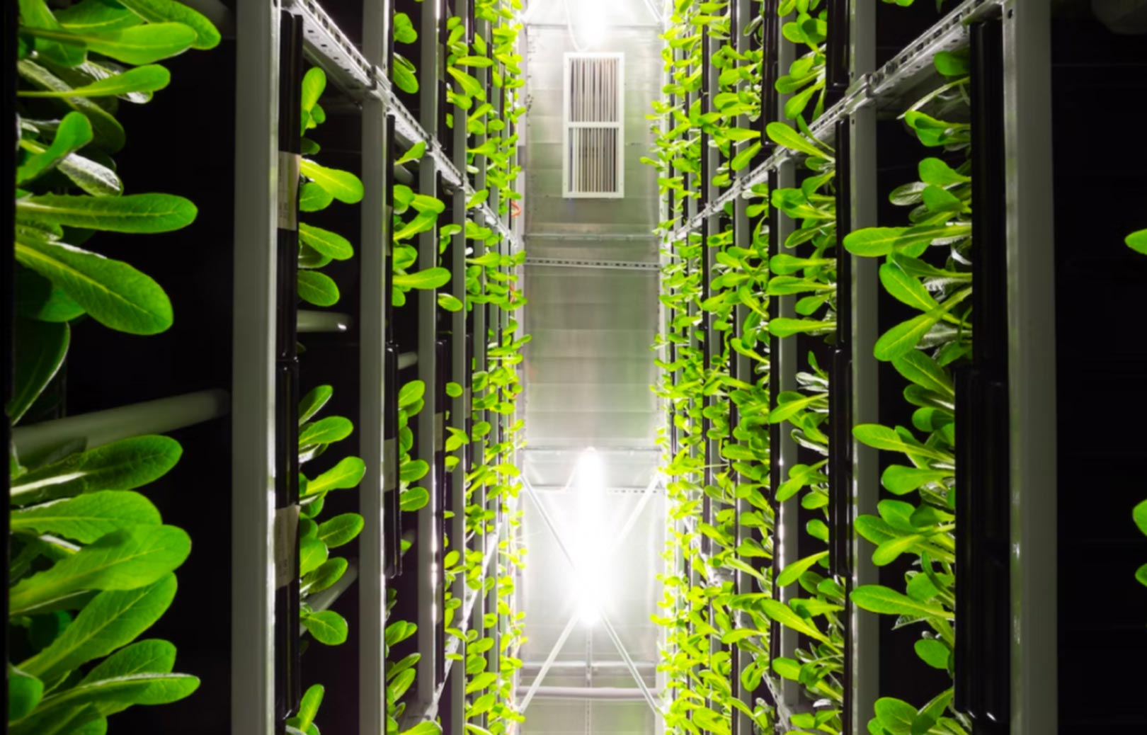 photo d'un bureau de travail